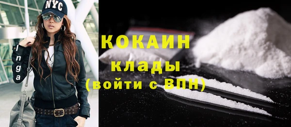 прущие грибы Абаза