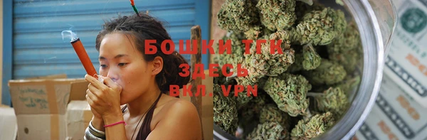 прущие грибы Абаза