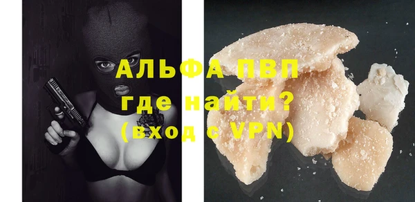 прущие грибы Абаза