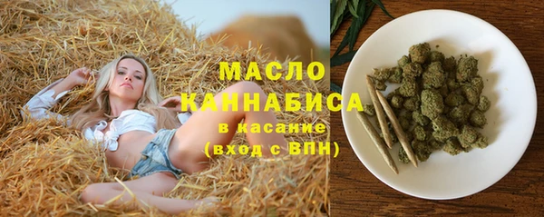 прущие грибы Абаза