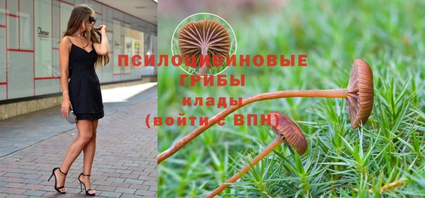 mdpv Алексин