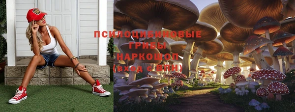 мяу мяу мука Абдулино