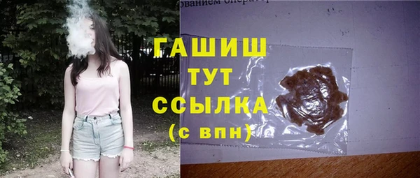 прущие грибы Абаза