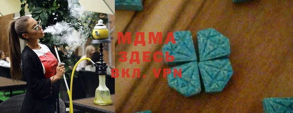 прущие грибы Абаза