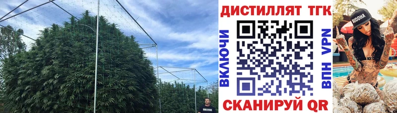 ТГК жижа  Инсар 